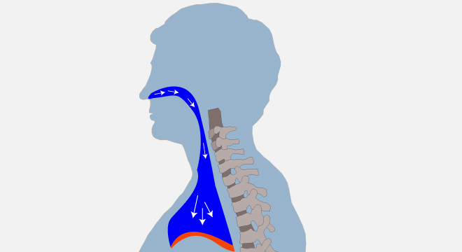 Cystische Fibrose: Inhalations- und Atemtherapien