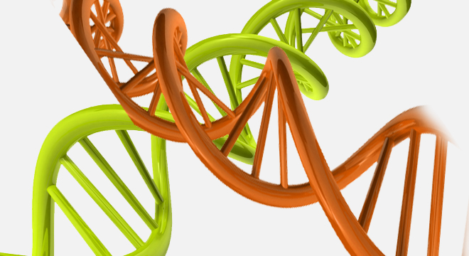 Eisenspeicherkrankheit: Angeboren durch einen Chromosomdefekt