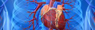 Herz-Kreislauf- Herz-Erkrankungen