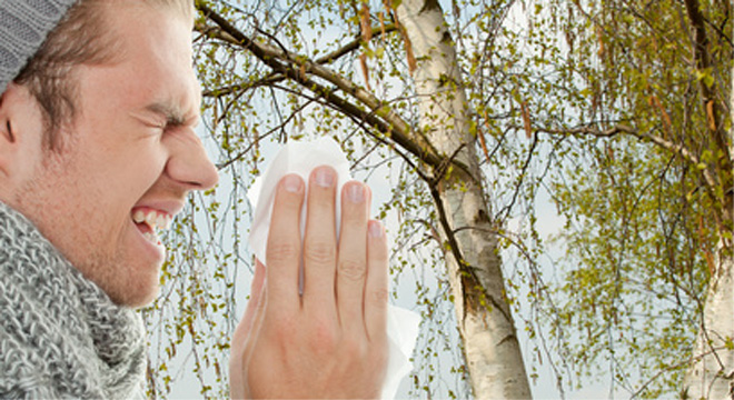 Heuschnupfen: Eine Allergie auf Pollen mit allergischem Schnupfen