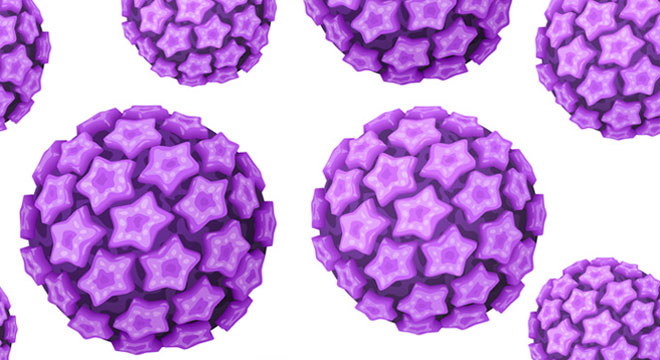 Gebärmutterhalskrebs: Humanes Papilloma Virus