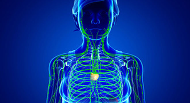 Thymom: ein meist gutartiger Tumor der Thymusdrüse